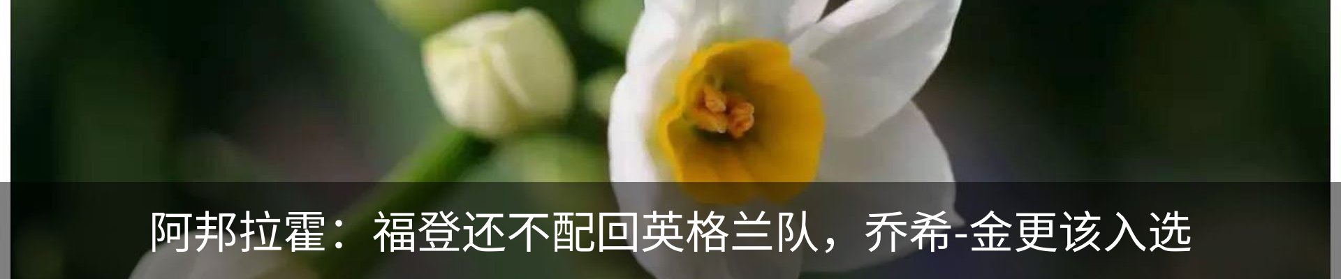 最新动态