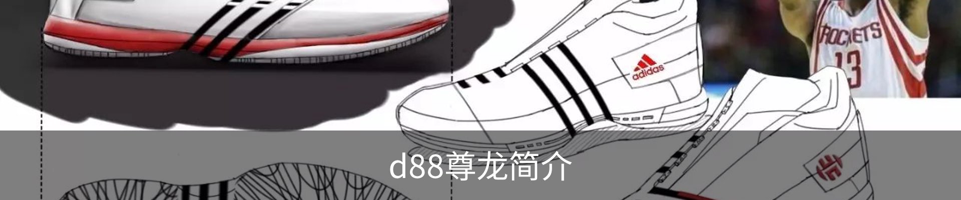 d88尊龙简介