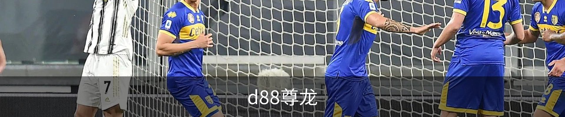 d88尊龙,d88尊龙官网,d88尊龙中国